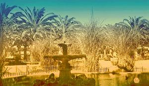 RIO SALADO 513  PLACE MILHE POUTINGON
